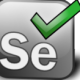 Selenium Test Automation – Continuous Delivery & Devops: Test Automation Gains High Recognition in Turkey’s E-Commerce Market
