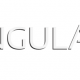 What is AngularJS ?